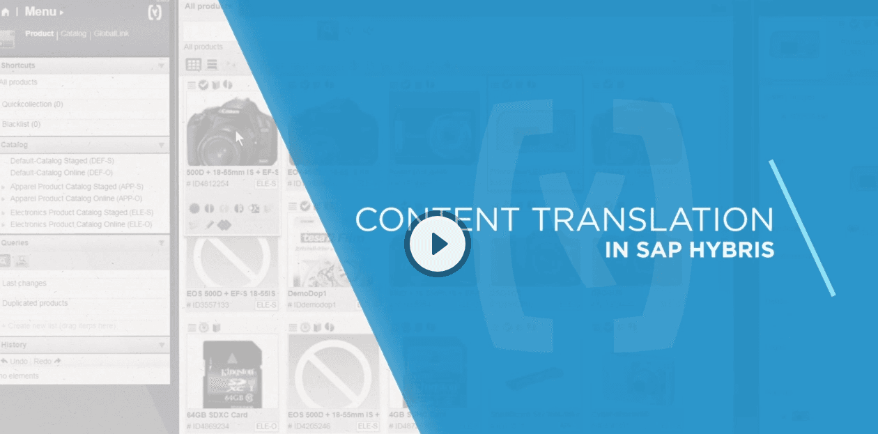 transperfectSAP video