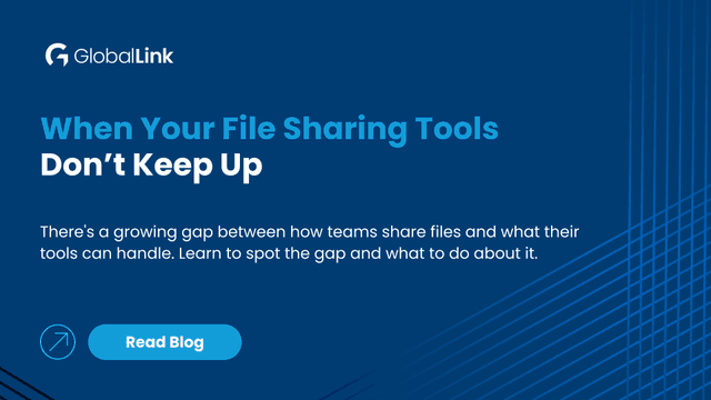 File Sharing