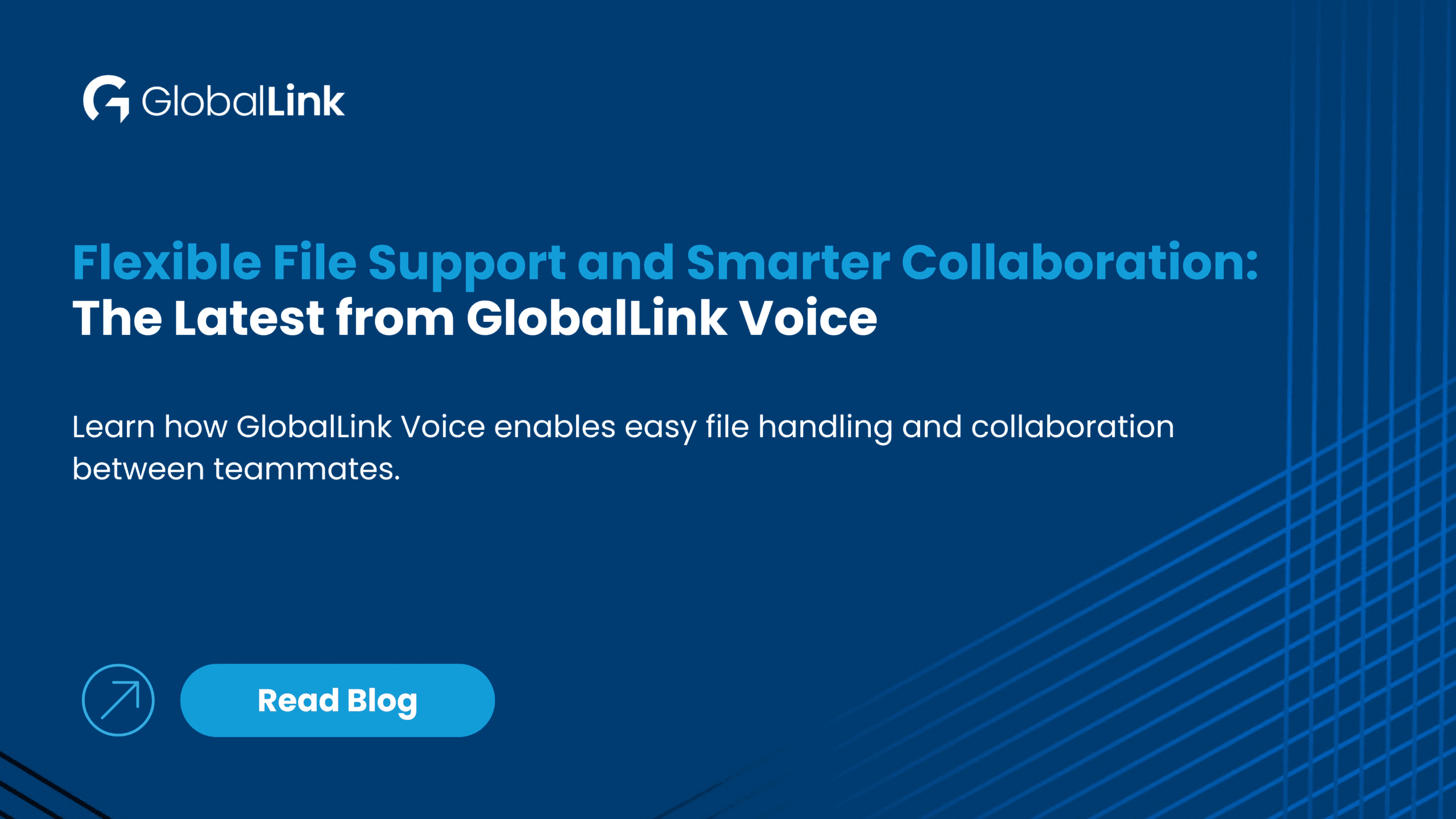 GL Voice