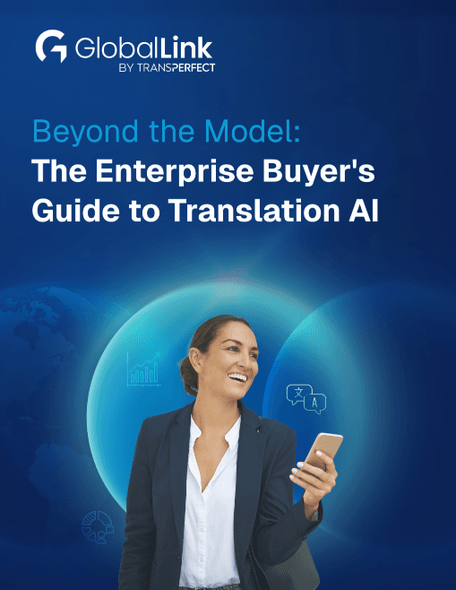 Cover image for Beyond the Model The Enterprise Buyer's Guide to Translation AI